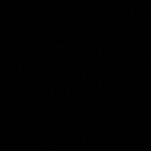 Meet your Posher, Bobby